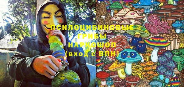 марки lsd Бородино